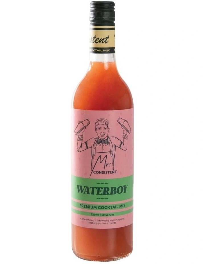 Best Pirce β¨ Mr Consistent Waterboy Mixer 750ml π